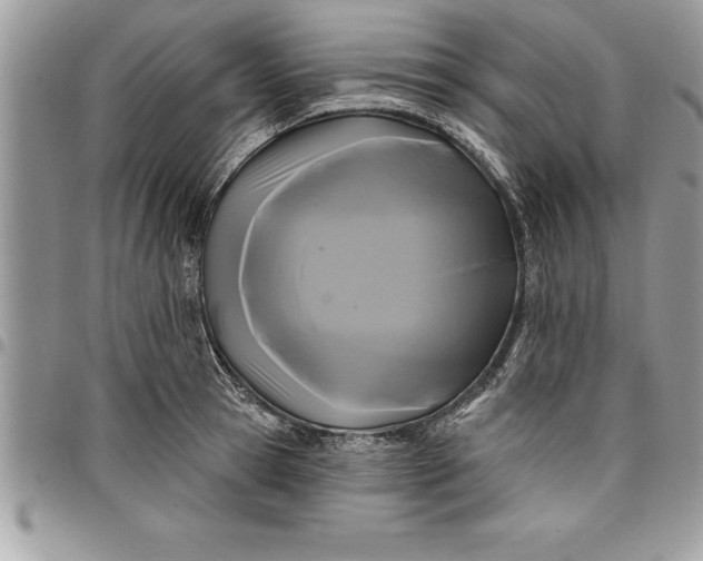 X0000097890945200803281243