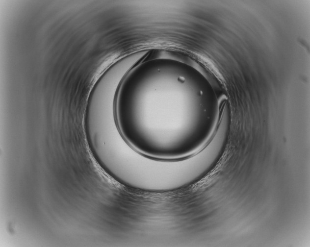 X0000097890946200803281243