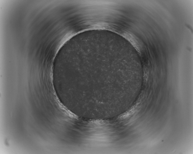 X0000097890950200803281243