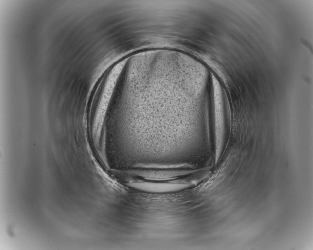 X0000097890951200803281243