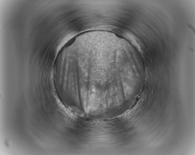 X0000097890952200803281243