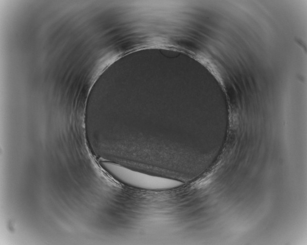 X0000097890954200803281243