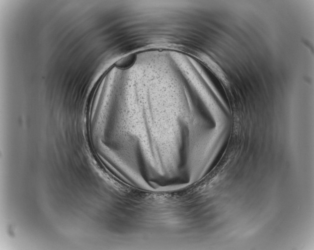 X0000097890955200803281243