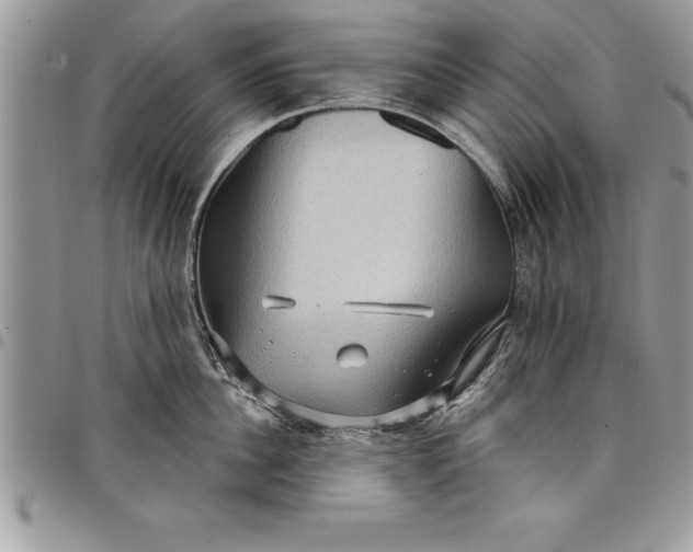 X0000097890956200803281243