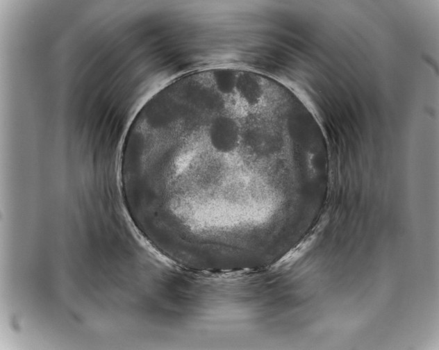 X0000097890957200803281243