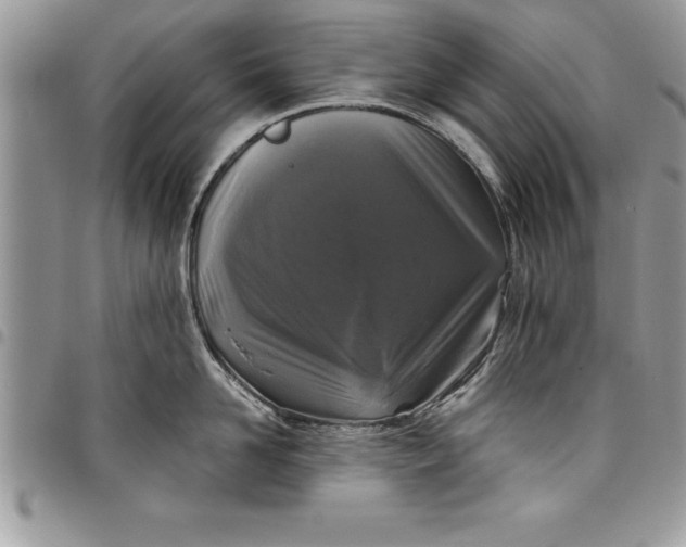 X0000097890958200803281243