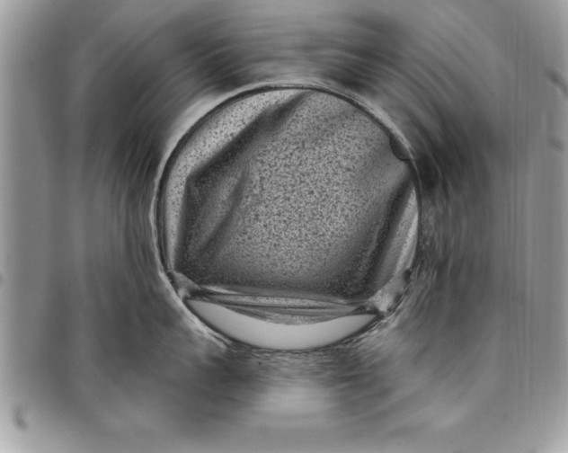 X0000097890959200803281243