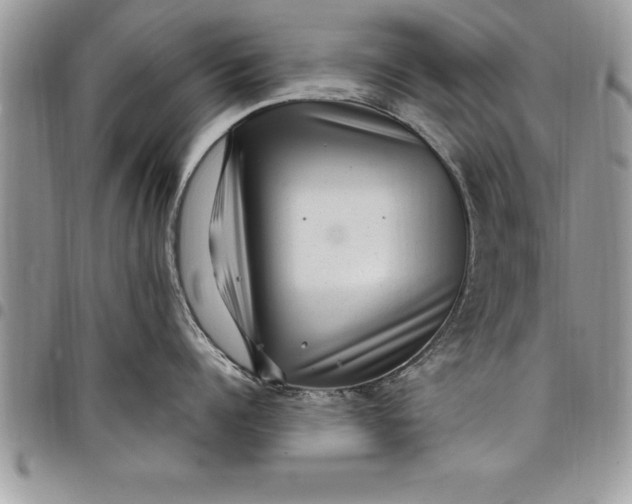 X0000097890960200803281243