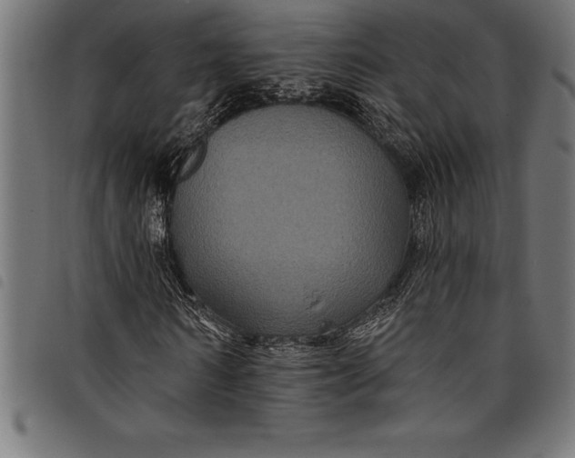 X0000097890962200803281242