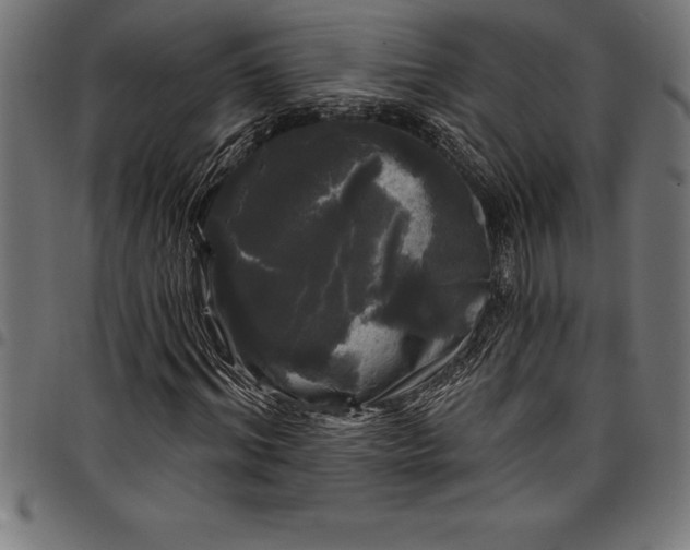 X0000097890964200803281242