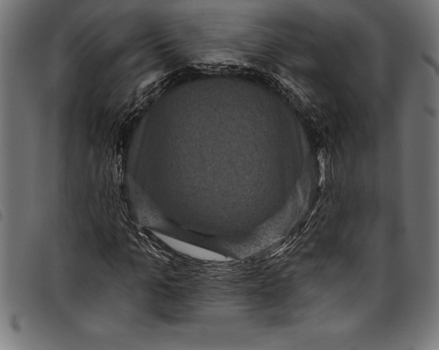 X0000097890965200803281242