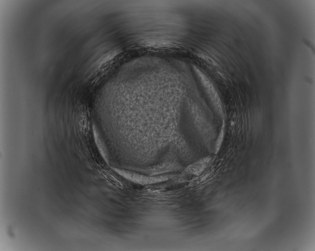 X0000097890966200803281242