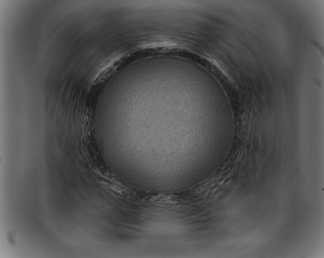 X0000097890967200803281242