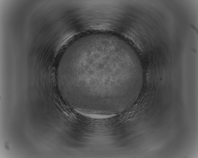 X0000097890968200803281242