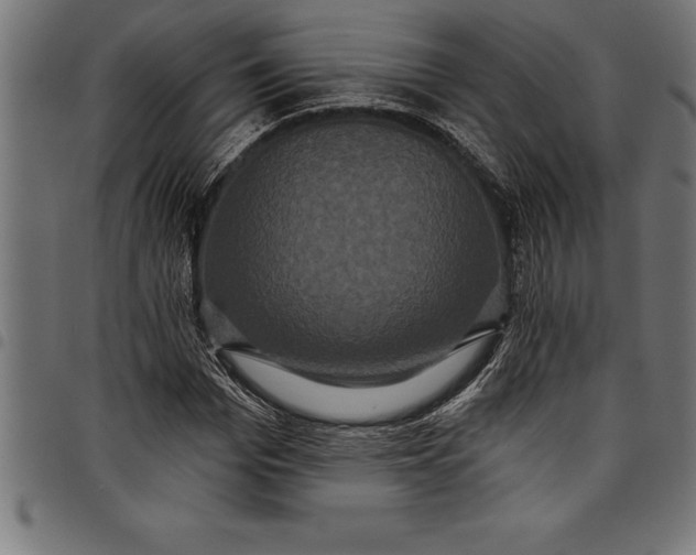 X0000097890969200803281242