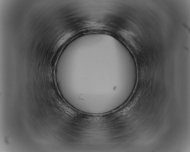 X0000097890970200803281242