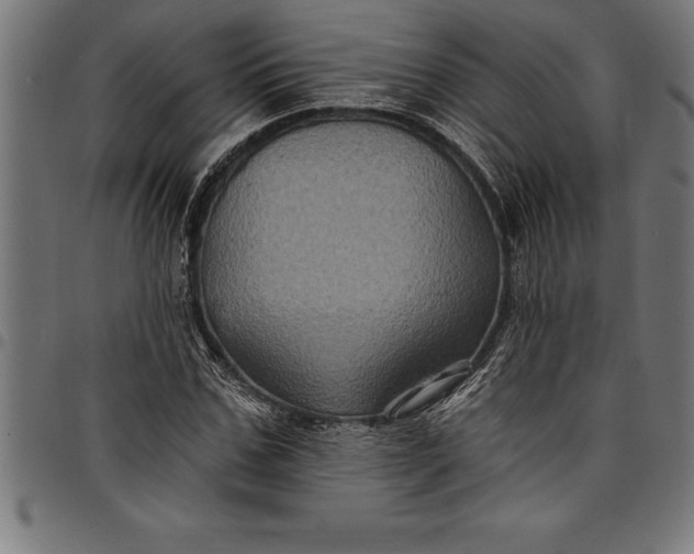 X0000097890971200803281242