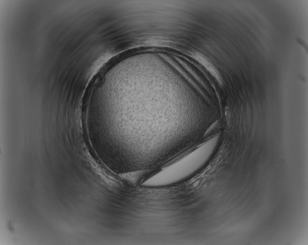 X0000097890972200803281242