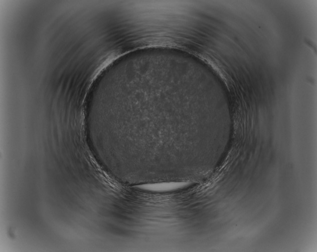 X0000097890975200803281242