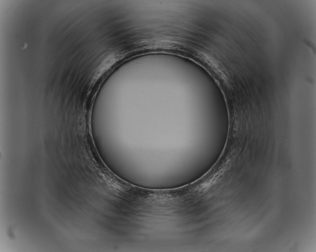 X0000097890978200803281242