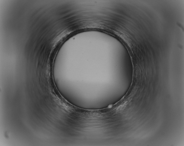 X0000097890979200803281242