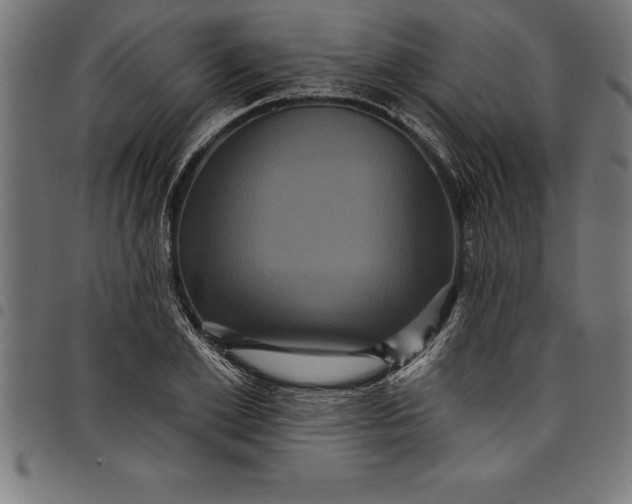 X0000097890981200803281242