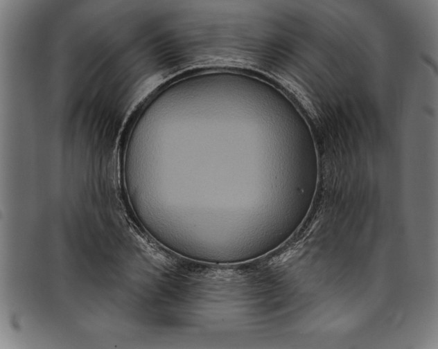 X0000097890982200803281242