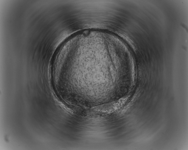 X0000097890983200803281242