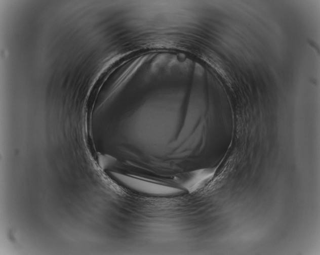 X0000097890984200803281242