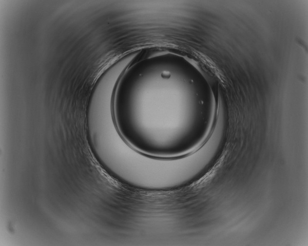 X0000097890985200803281242