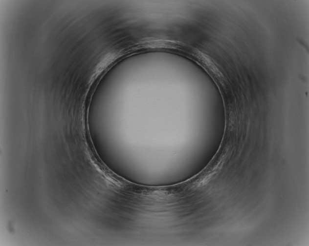 X0000097890986200803281242