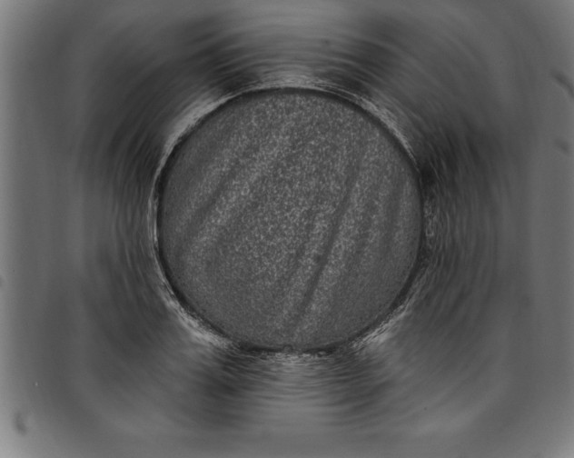 X0000097890987200803281242