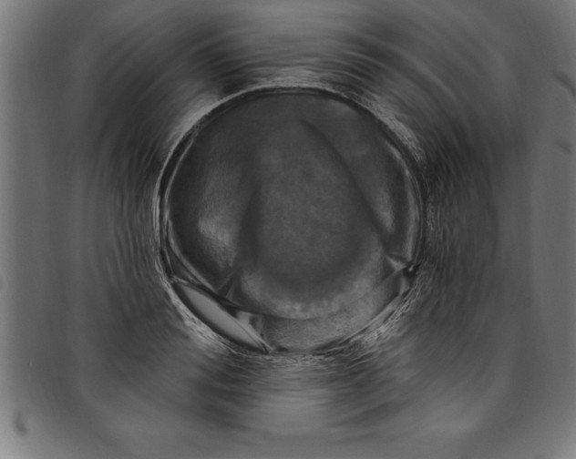 X0000097890988200803281242