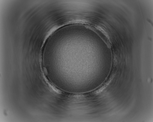 X0000097890989200803281242