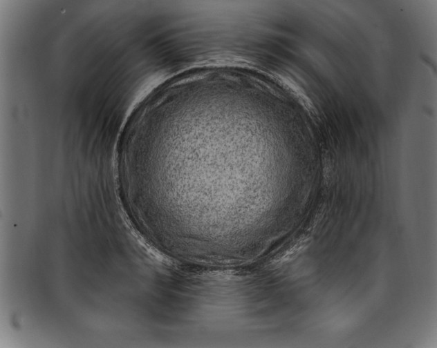 X0000097890990200803281242