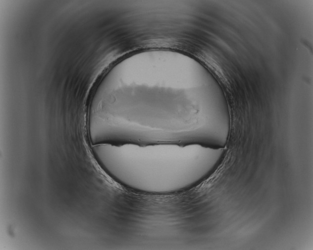 X0000097890992200803281242