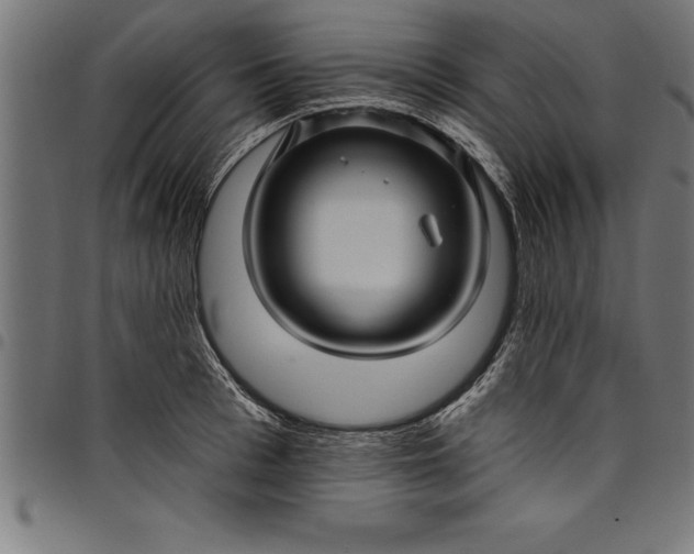 X0000097890993200803281242