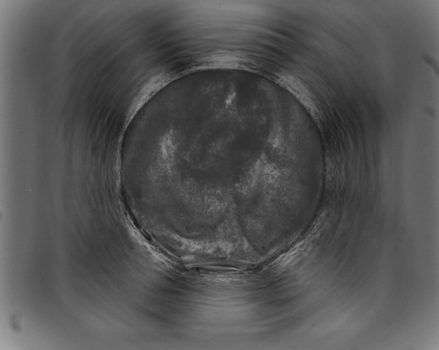 X0000097890994200803281242