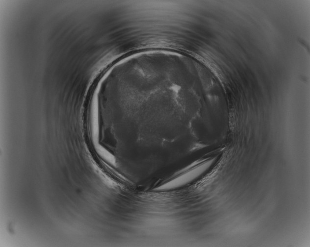 X0000097890995200803281242