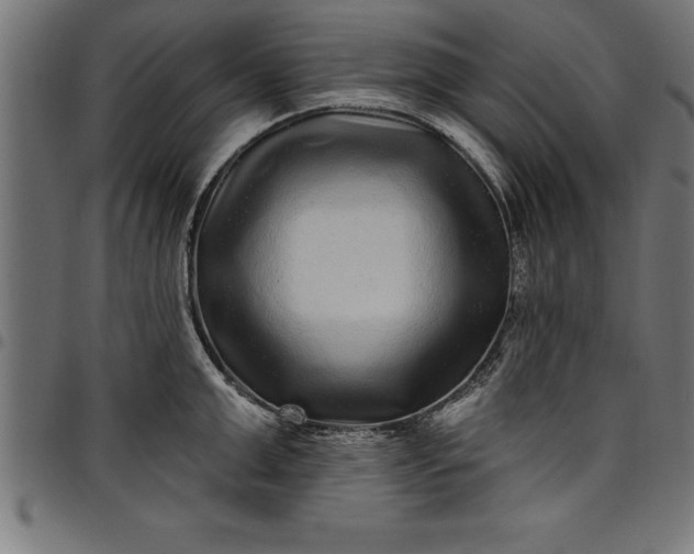 X0000097890999200803281242