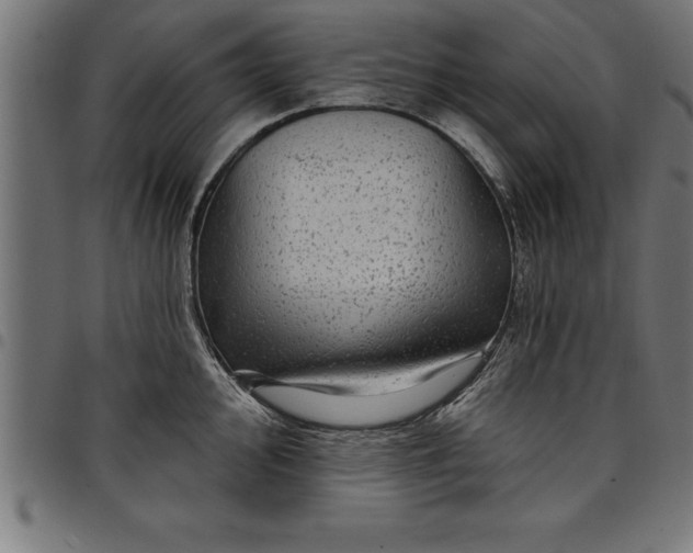 X0000097891000200803281242