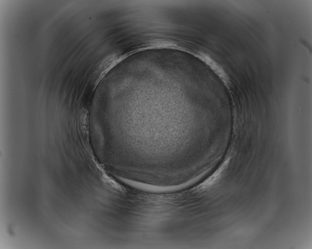 X0000097891001200803281242