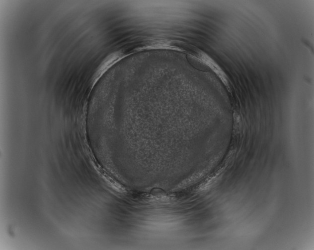 X0000097891002200803281242