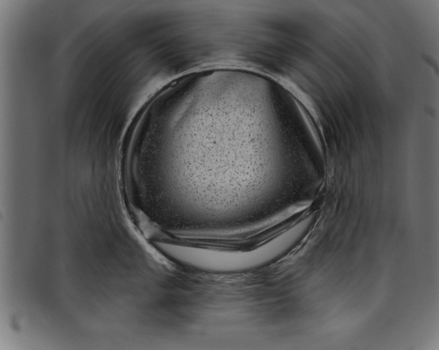 X0000097891005200803281242