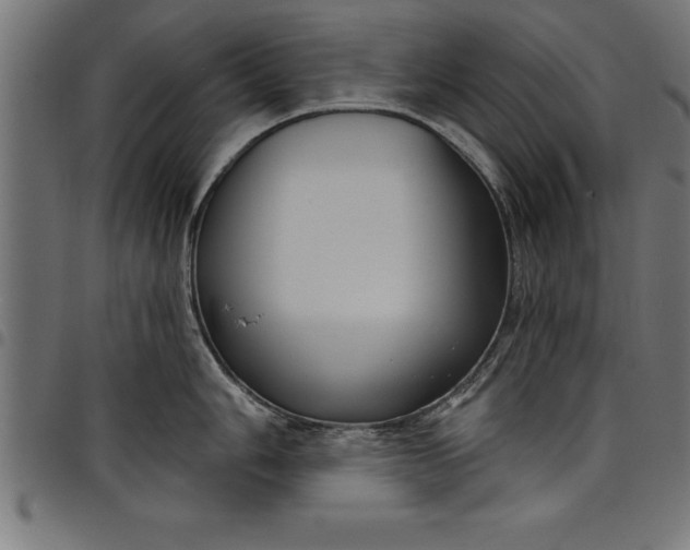 X0000097891006200803281242