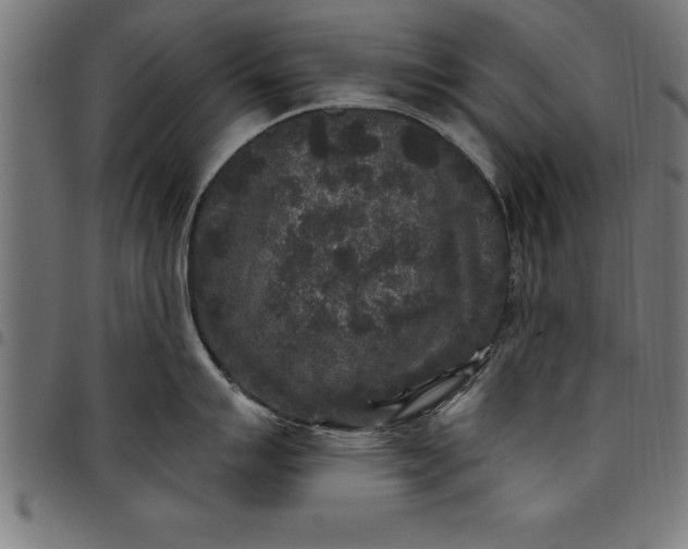 X0000097891007200803281241