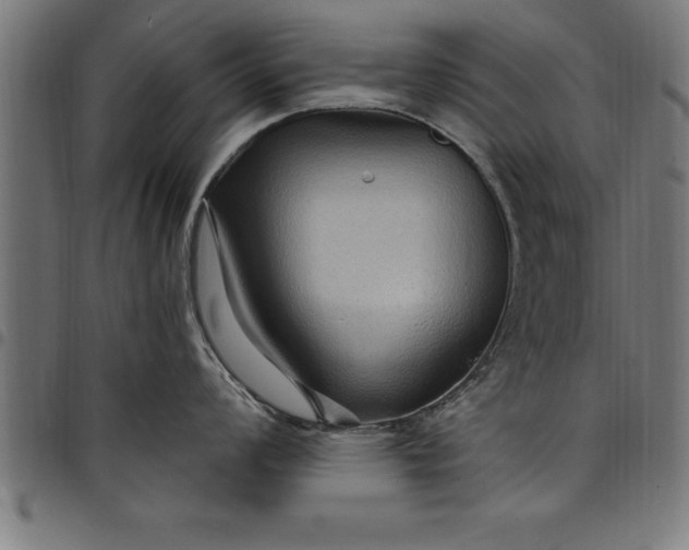 X0000097891008200803281241