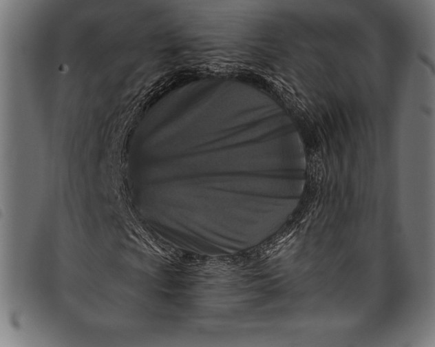 X0000097891009200803281241