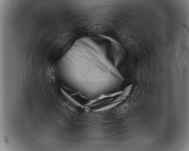 X0000097891010200803281241