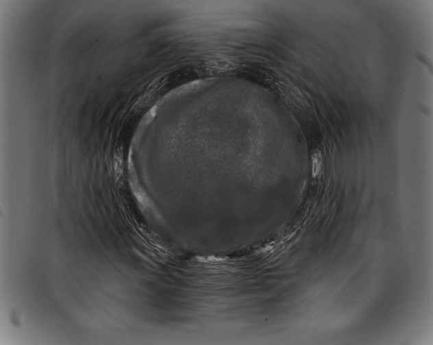 X0000097891011200803281241